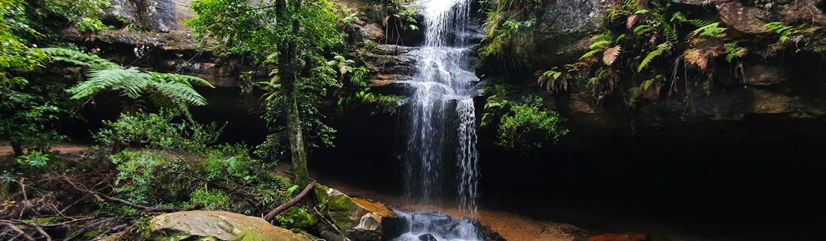 Horseshoe Falls (Lyrebird Falls) - Hazelbrook - Roaming-Oz - A guy from ...