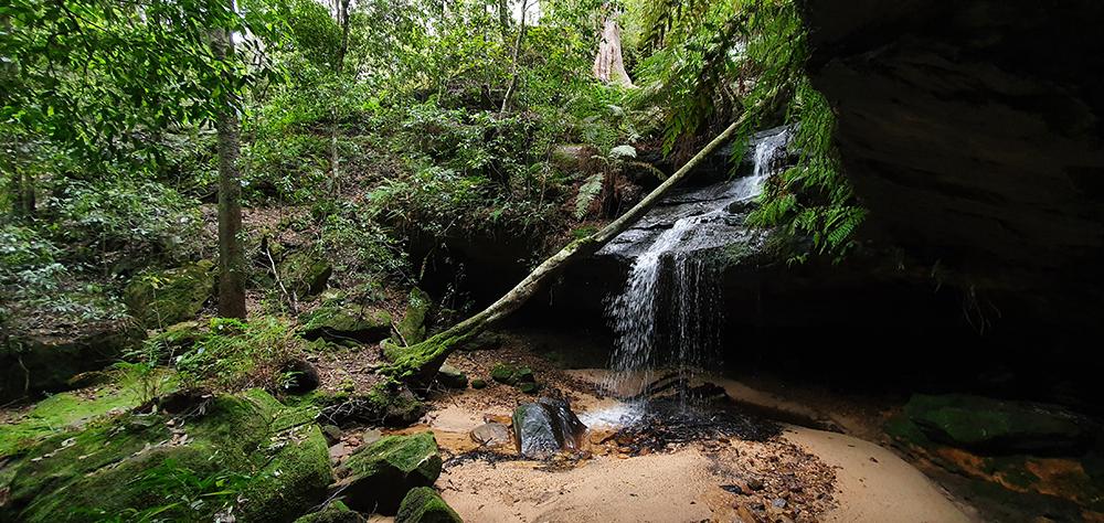 Burgess Falls Walking Track - Hazelbrook - Roaming-Oz - A guy from ...